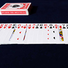 Du wirst Dich wundern!